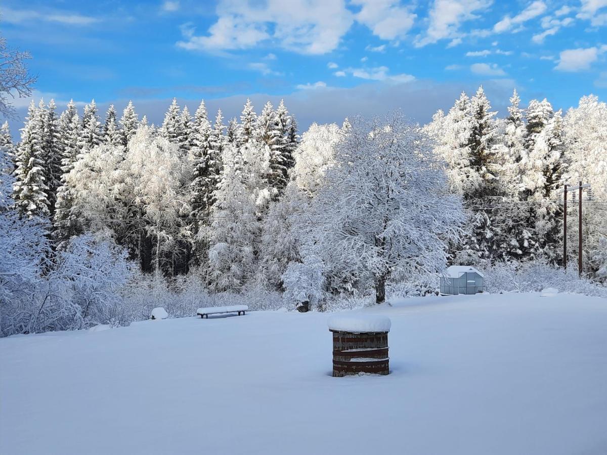 Geijersholms Herrgard Hotel Hagfors